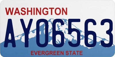 WA license plate AYO6563