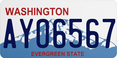 WA license plate AYO6567