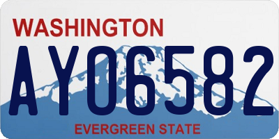WA license plate AYO6582