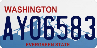 WA license plate AYO6583