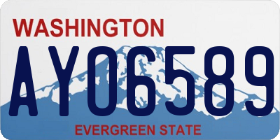 WA license plate AYO6589