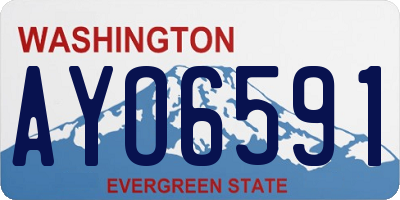 WA license plate AYO6591
