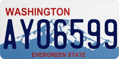WA license plate AYO6599
