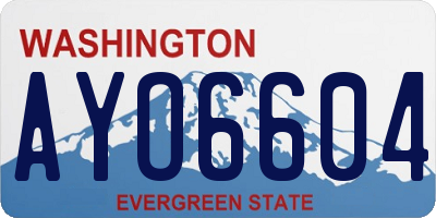 WA license plate AYO6604