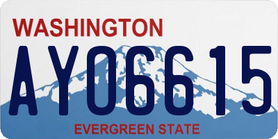 WA license plate AYO6615