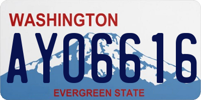 WA license plate AYO6616