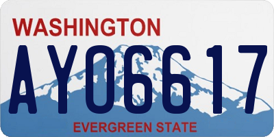 WA license plate AYO6617