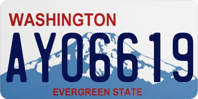 WA license plate AYO6619