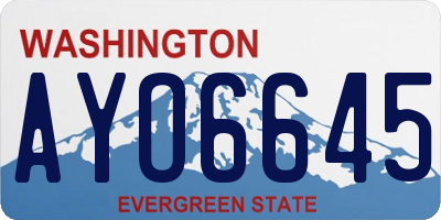 WA license plate AYO6645