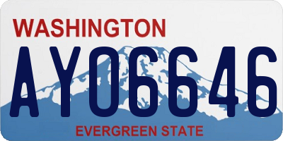 WA license plate AYO6646