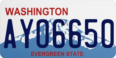 WA license plate AYO6650