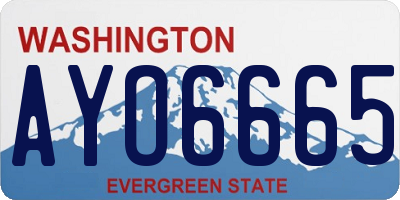 WA license plate AYO6665
