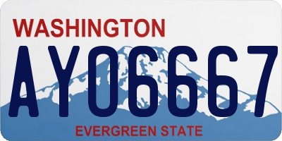 WA license plate AYO6667