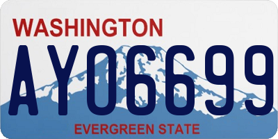 WA license plate AYO6699