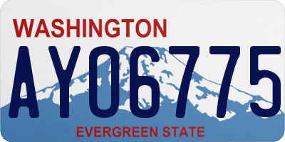 WA license plate AYO6775