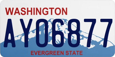 WA license plate AYO6877