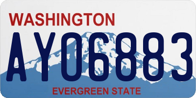 WA license plate AYO6883