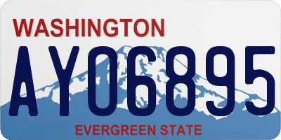 WA license plate AYO6895