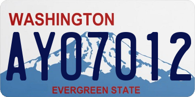 WA license plate AYO7012