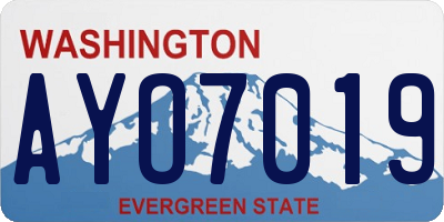 WA license plate AYO7019