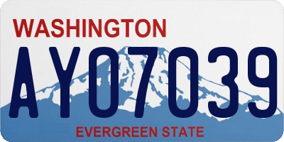 WA license plate AYO7039