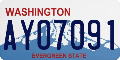 WA license plate AYO7091