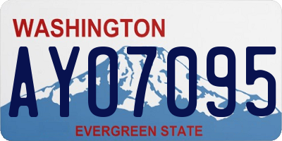 WA license plate AYO7095