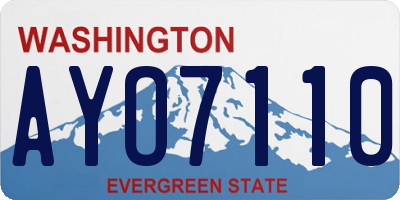 WA license plate AYO7110