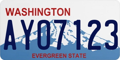 WA license plate AYO7123