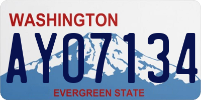 WA license plate AYO7134