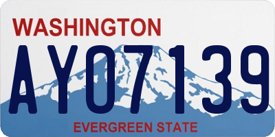 WA license plate AYO7139