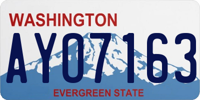 WA license plate AYO7163