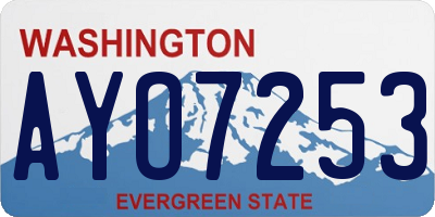 WA license plate AYO7253