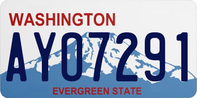 WA license plate AYO7291