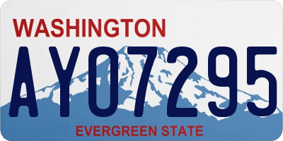 WA license plate AYO7295