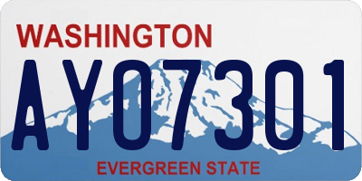 WA license plate AYO7301