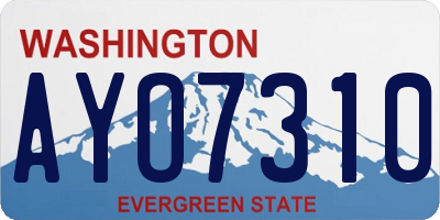 WA license plate AYO7310