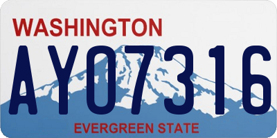 WA license plate AYO7316