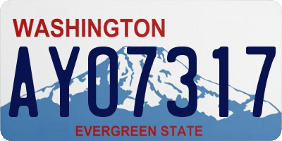 WA license plate AYO7317