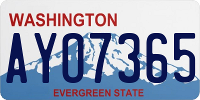WA license plate AYO7365