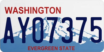 WA license plate AYO7375