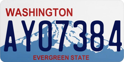 WA license plate AYO7384