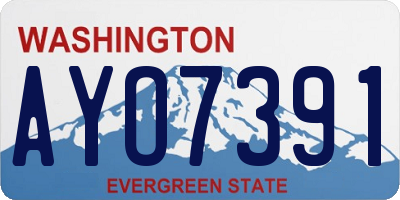 WA license plate AYO7391
