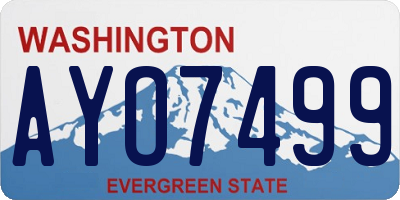 WA license plate AYO7499