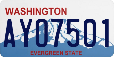 WA license plate AYO7501
