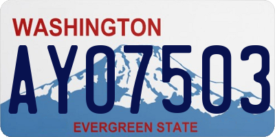 WA license plate AYO7503