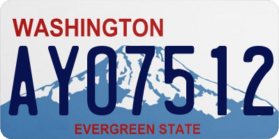 WA license plate AYO7512