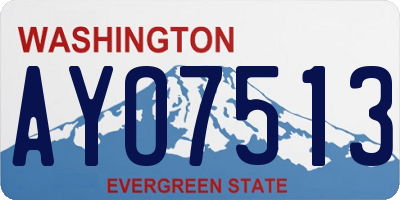 WA license plate AYO7513