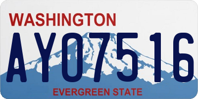 WA license plate AYO7516