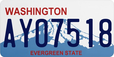 WA license plate AYO7518